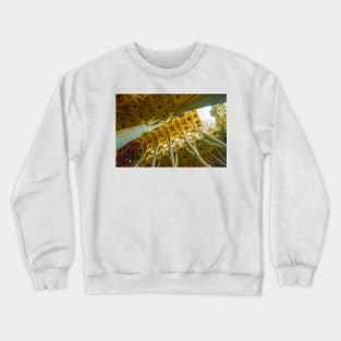 The Canopy Above, La Sagrada Familia Crewneck Sweatshirt